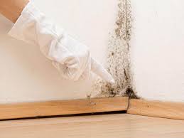  Parkville, MD Mold Inspection Pros